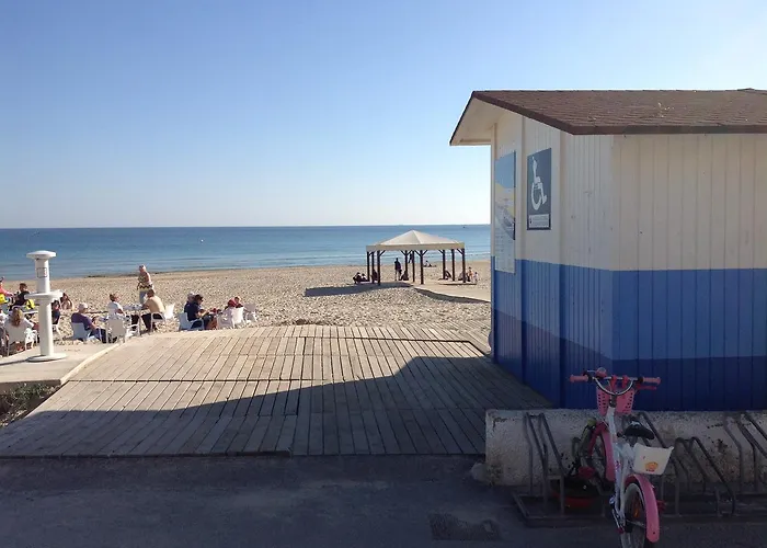 Playamarina 1 Reception